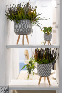 foto restaurante amares