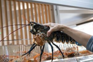 foto plato restaurante amares