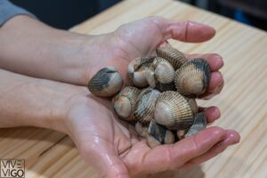 foto plato restaurante amares