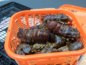 foto plato restaurante amares