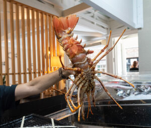 foto plato restaurante amares