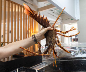 foto plato restaurante amares