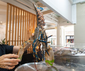 foto plato restaurante amares