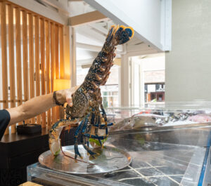 foto plato restaurante amares